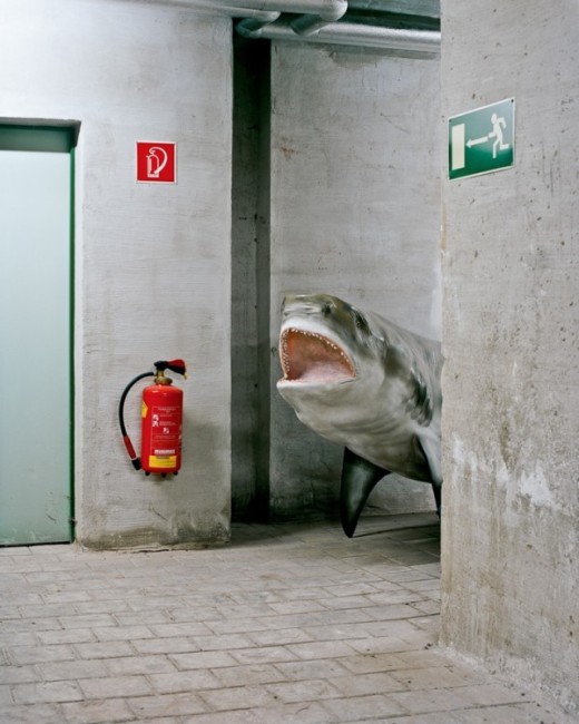 A photograph taken by Klaus Pichler, exploring the basement, after the Museum had closed.
